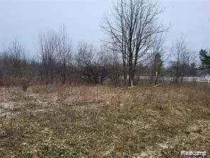 S Ann Arbor Saline Road S