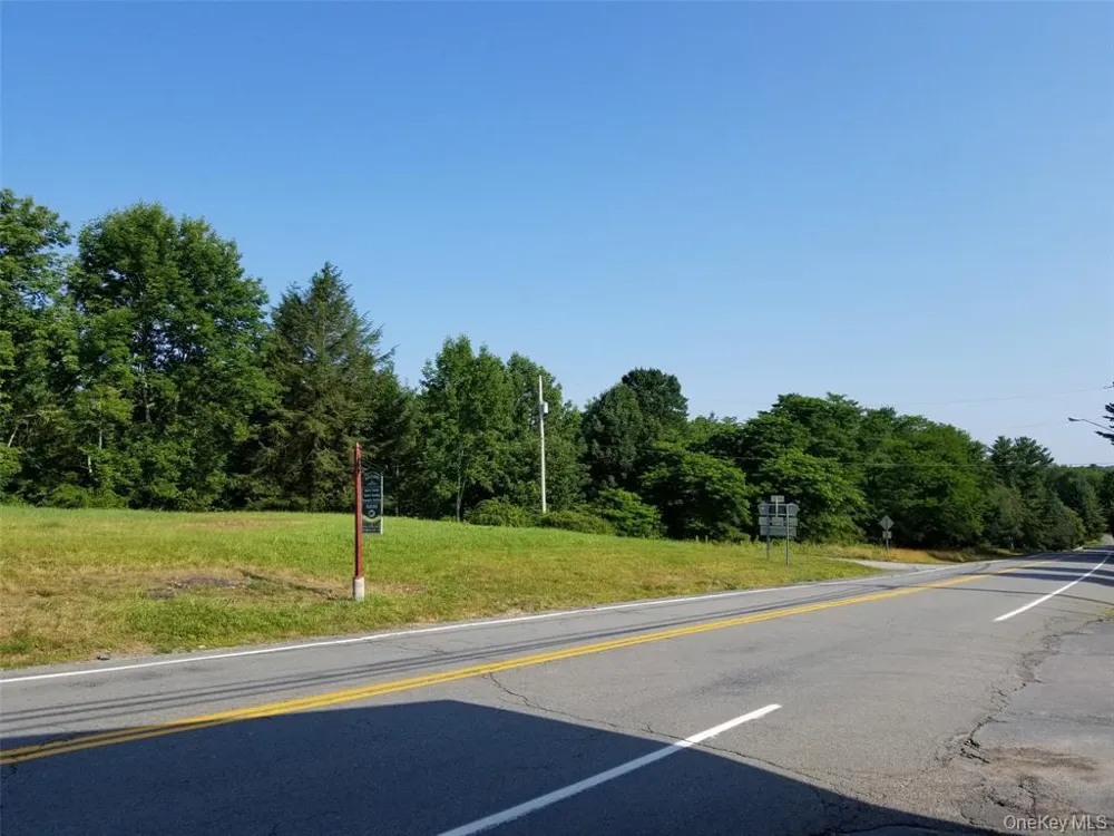 Lot 18 Horseshoe Lake Road and State Route 55 Kauneonga Lake, NY 12720