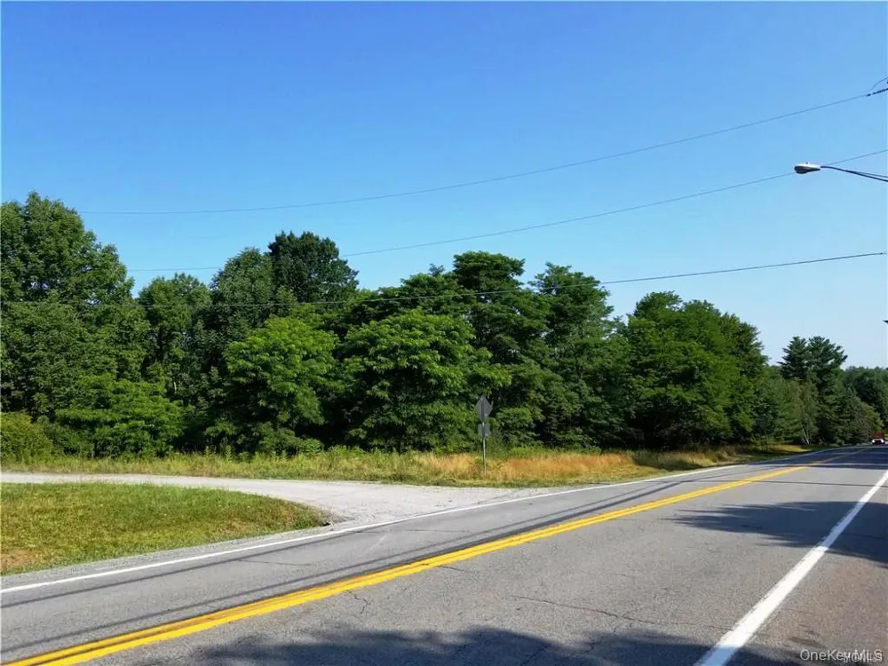 Lot 18 Horseshoe Lake Road and State Route 55 Kauneonga Lake, NY 12720