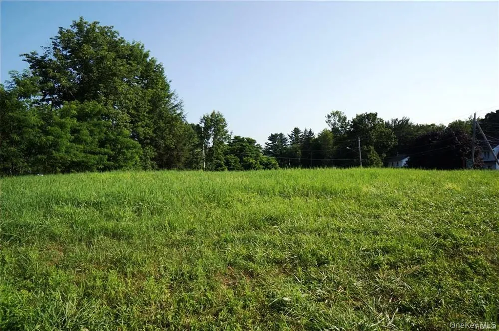 Lot 18 Horseshoe Lake Road and State Route 55 Kauneonga Lake, NY 12720