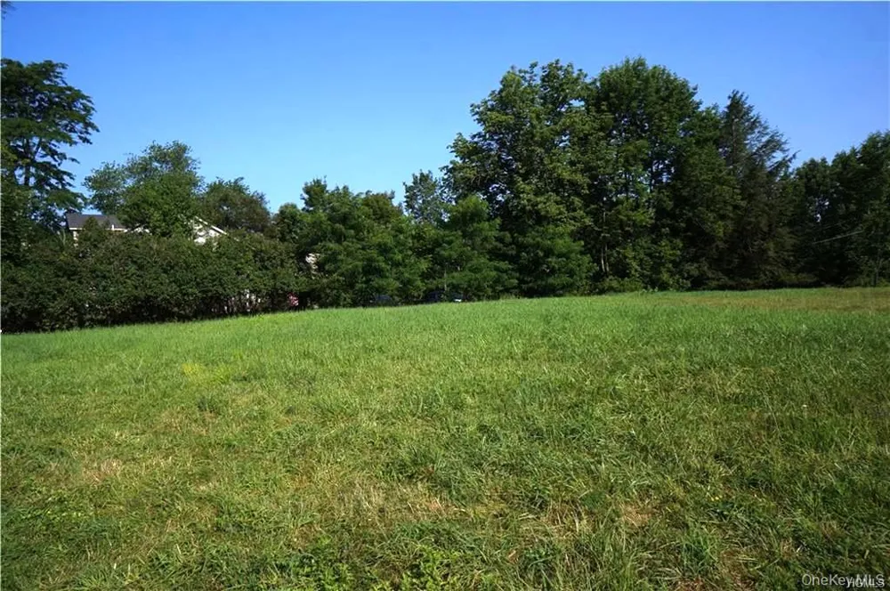 Lot 18 Horseshoe Lake Road and State Route 55 Kauneonga Lake, NY 12720