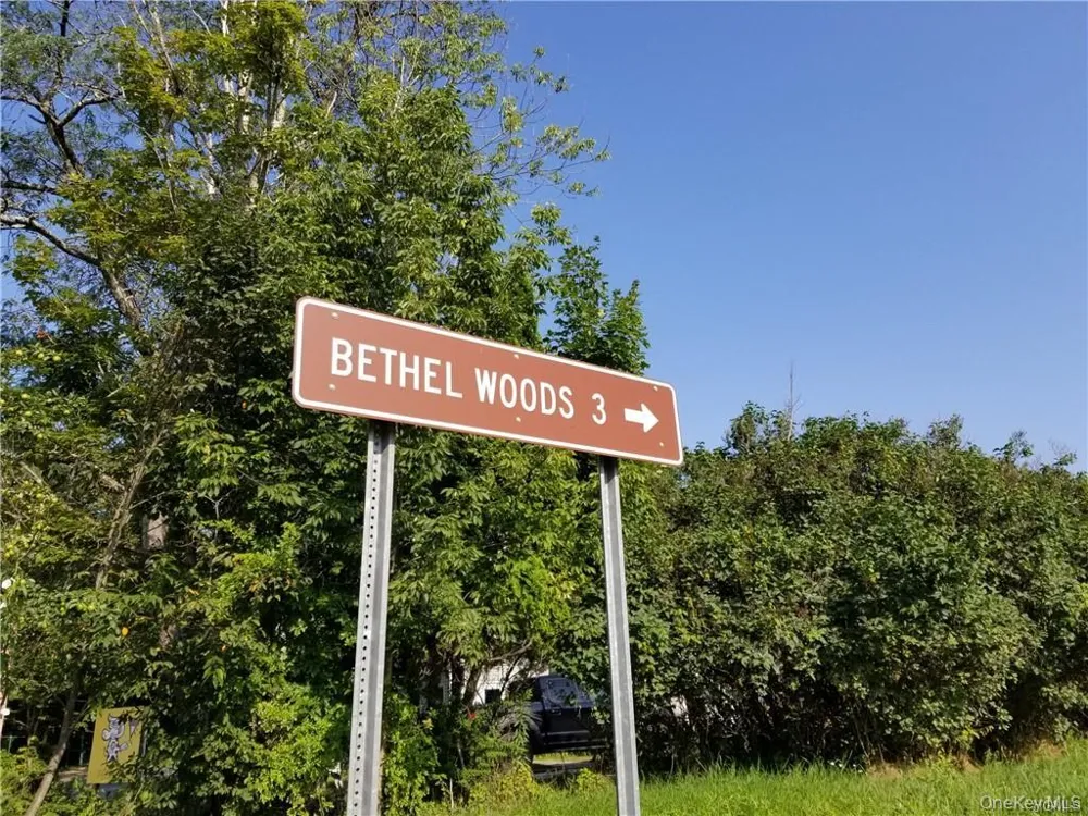 Lot 18 Horseshoe Lake Road and State Route 55 Kauneonga Lake, NY 12720