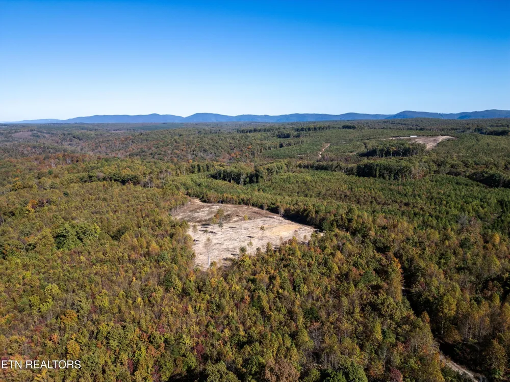 0 Otis Davis Rd Pikeville, TN 37367