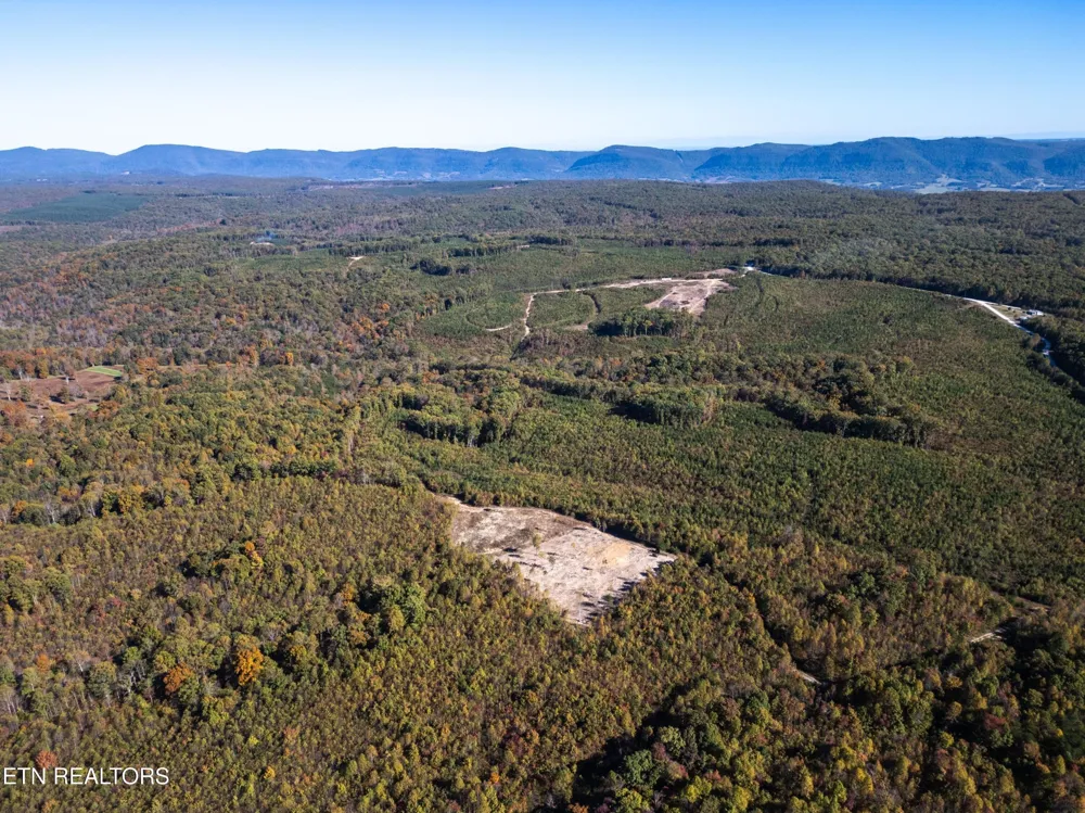 0 Otis Davis Rd Pikeville, TN 37367