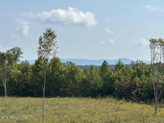 0 Otis Davis Rd Pikeville, TN 37367