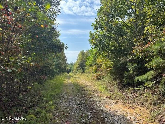 0 Otis Davis Rd Pikeville, TN 37367