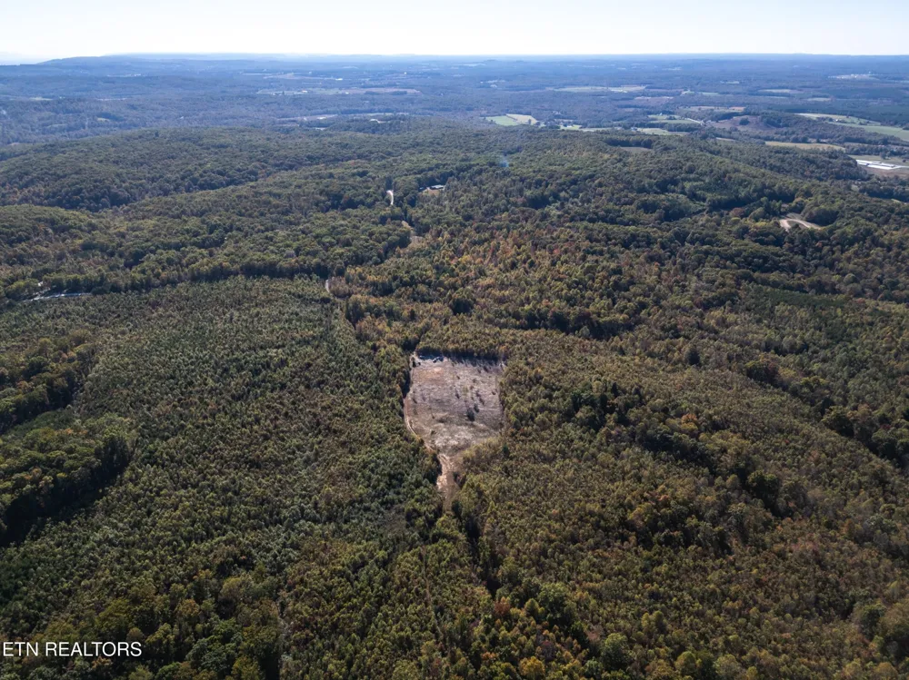 0 Otis Davis Rd Pikeville, TN 37367