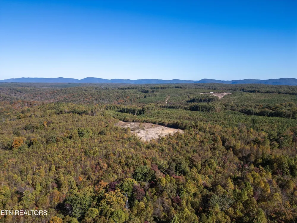0 Otis Davis Rd Pikeville, TN 37367