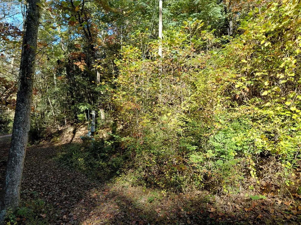 Foxfire Estates Robbinsville, NC 28771