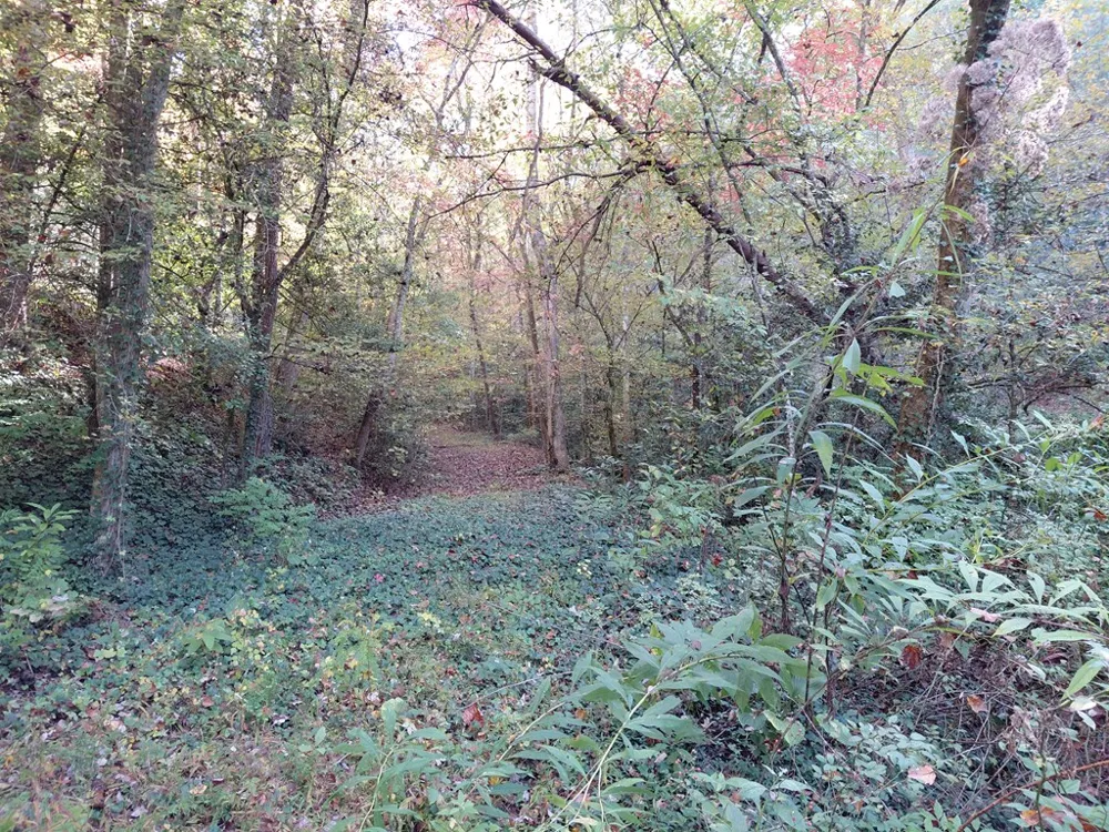 Foxfire Estates Robbinsville, NC 28771