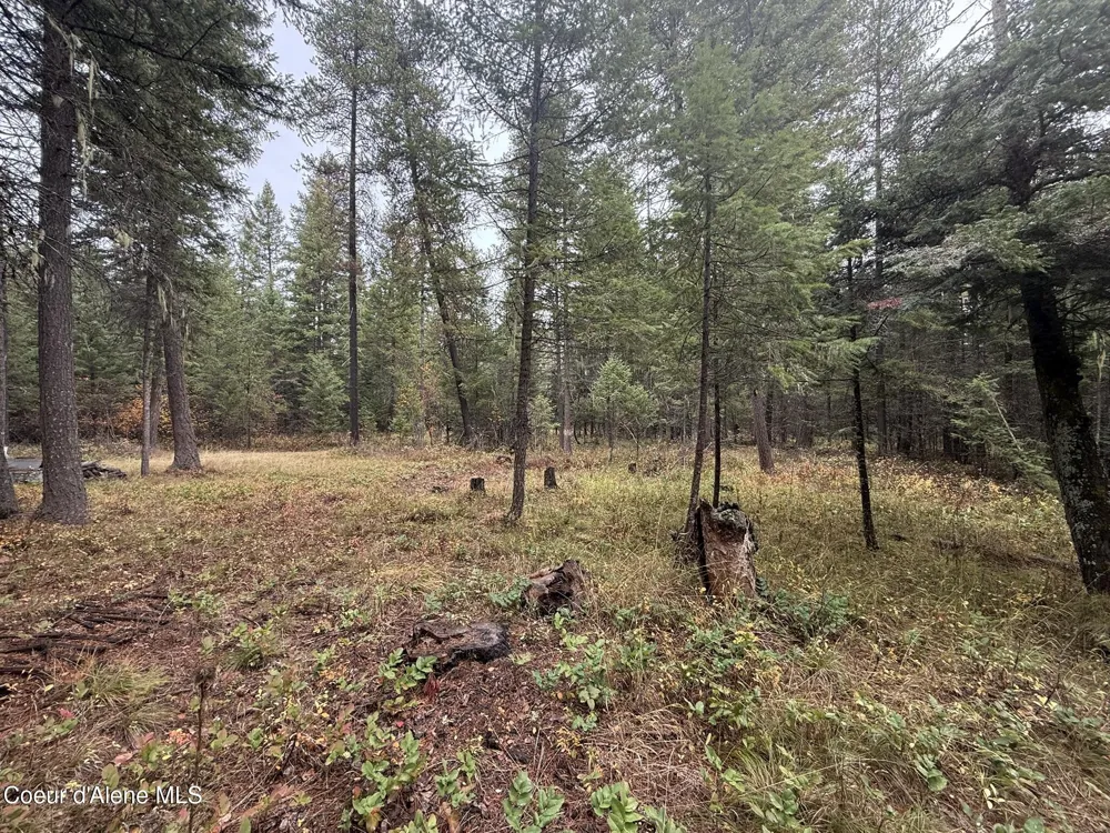 260 Deerhaven Ln Fernwood, ID 83830