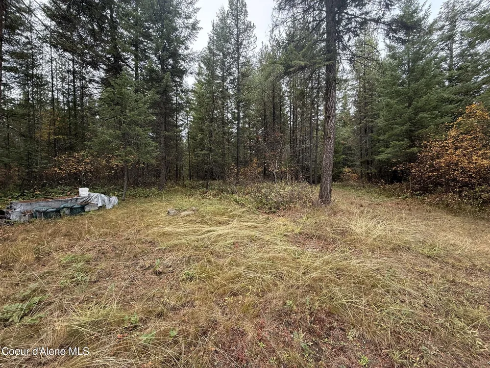 260 Deerhaven Ln Fernwood, ID 83830