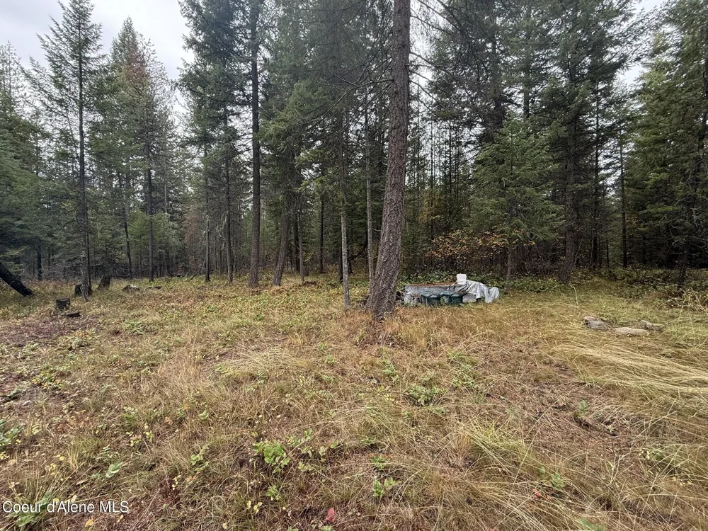 260 Deerhaven Ln Fernwood, ID 83830