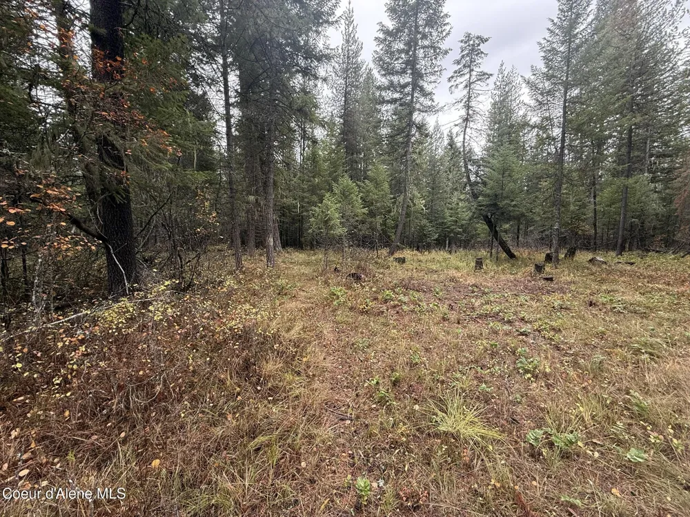 260 Deerhaven Ln Fernwood, ID 83830