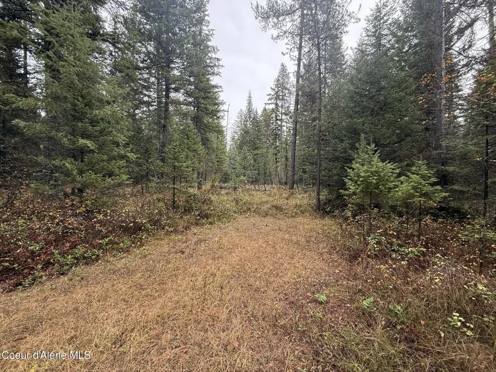 260 Deerhaven Ln Fernwood, ID 83830
