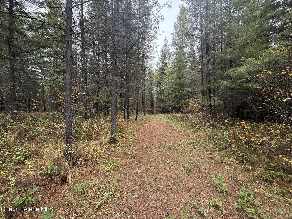 260 Deerhaven Ln Fernwood, ID 83830