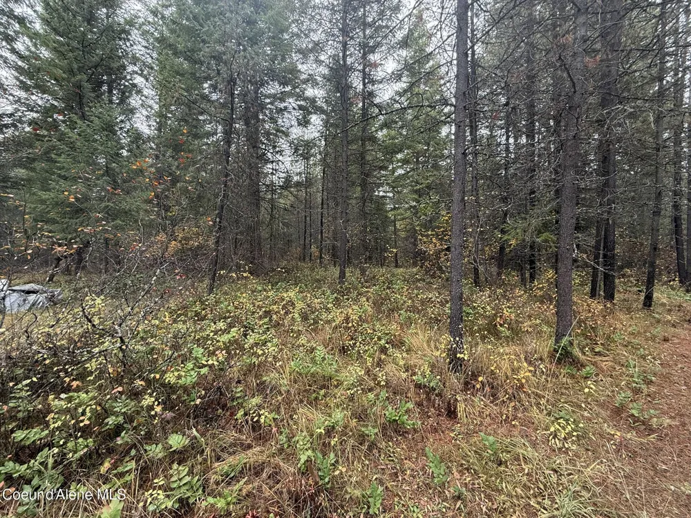 260 Deerhaven Ln Fernwood, ID 83830