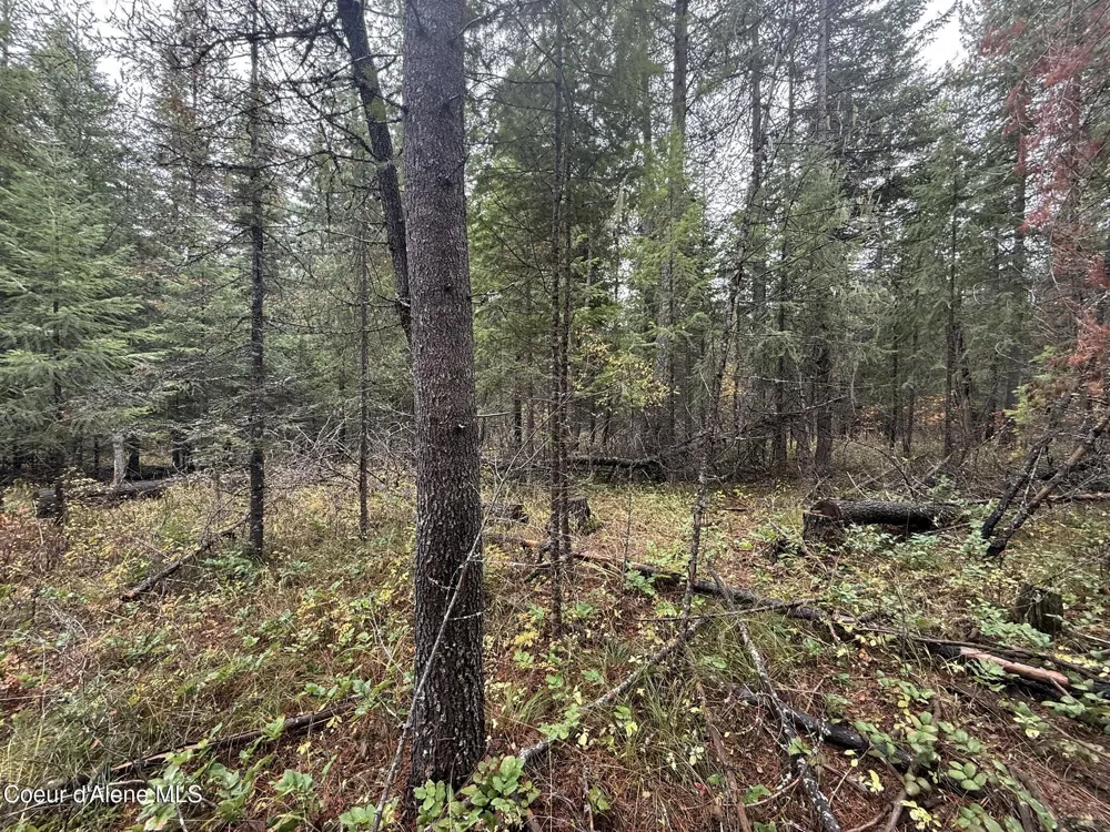 260 Deerhaven Ln Fernwood, ID 83830