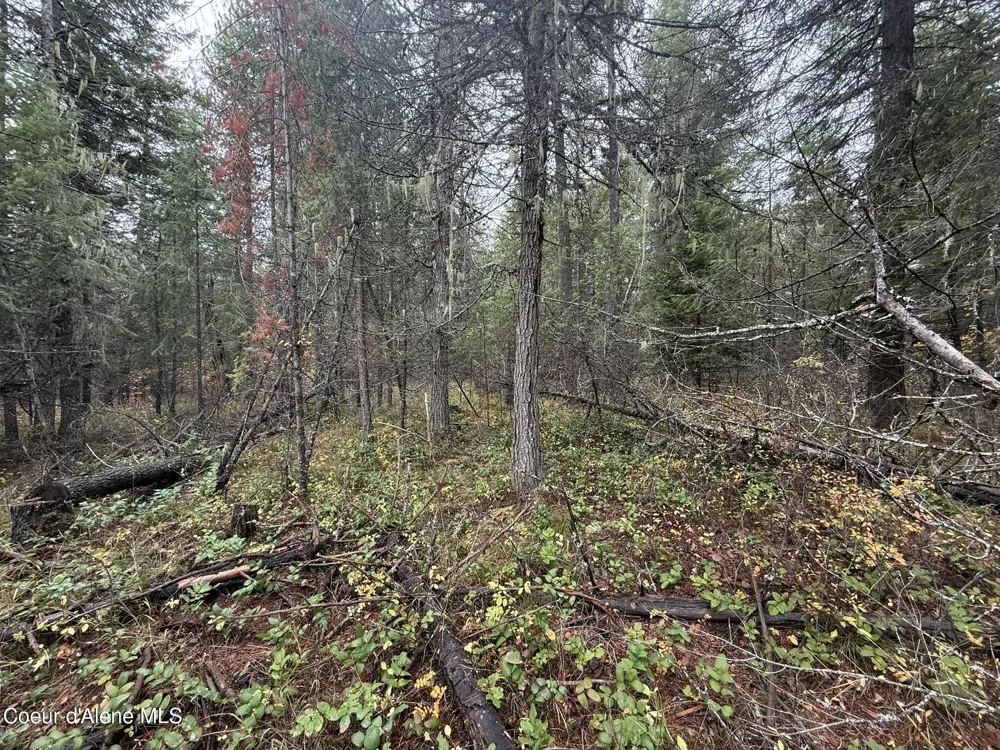 260 Deerhaven Ln Fernwood, ID 83830