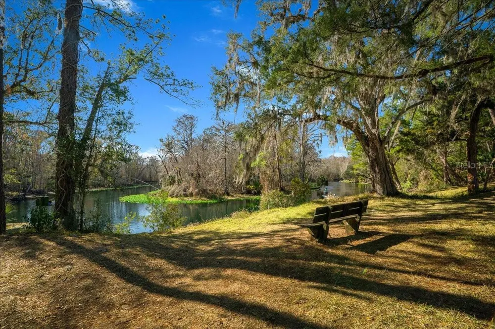 3259 NE 102ND AVENUE ROAD Silver Springs, FL 34488