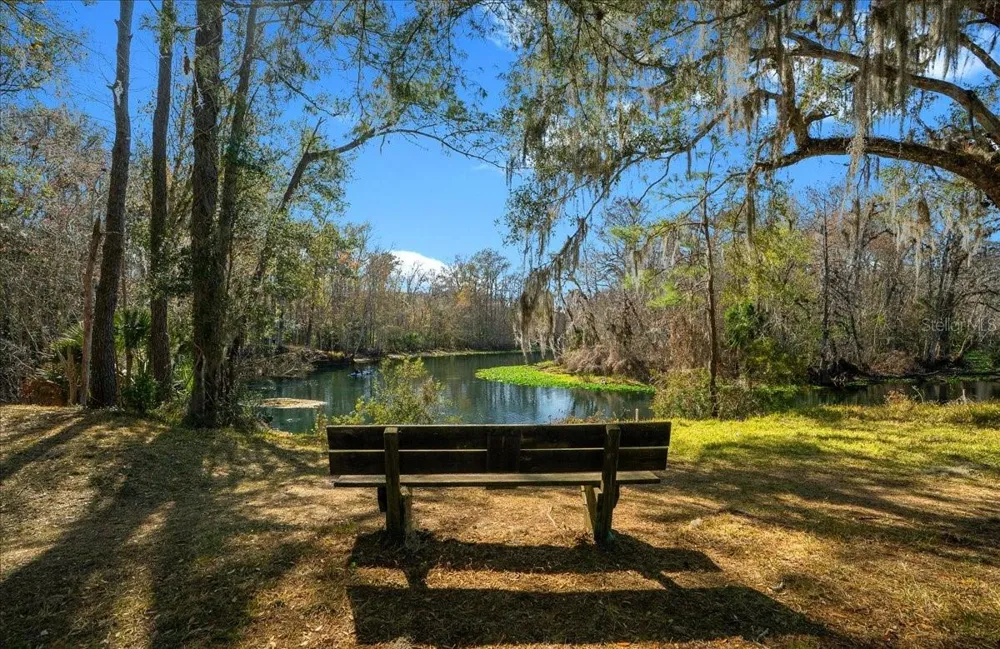 3259 NE 102ND AVENUE ROAD Silver Springs, FL 34488