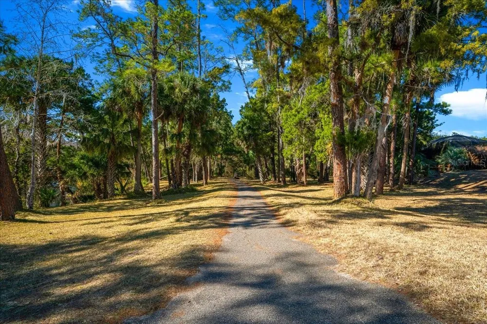 3259 NE 102ND AVENUE ROAD Silver Springs, FL 34488