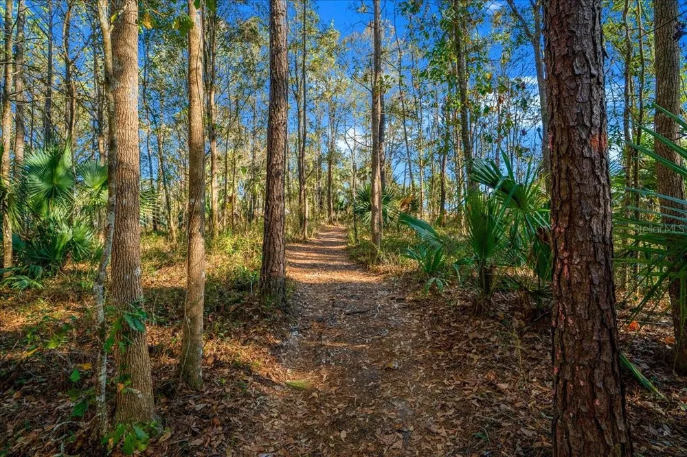 3259 NE 102ND AVENUE ROAD Silver Springs, FL 34488