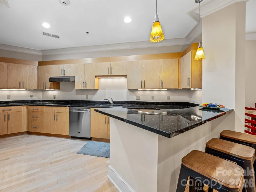 21 Battery Park Avenue #308 Asheville, NC 28801