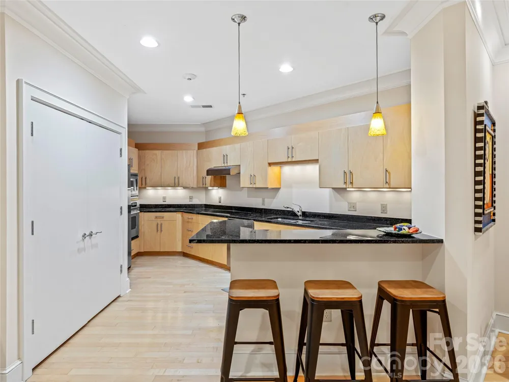 21 Battery Park Avenue #308 Asheville, NC 28801