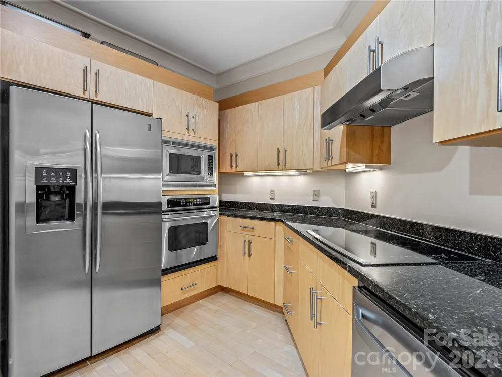 21 Battery Park Avenue #308 Asheville, NC 28801