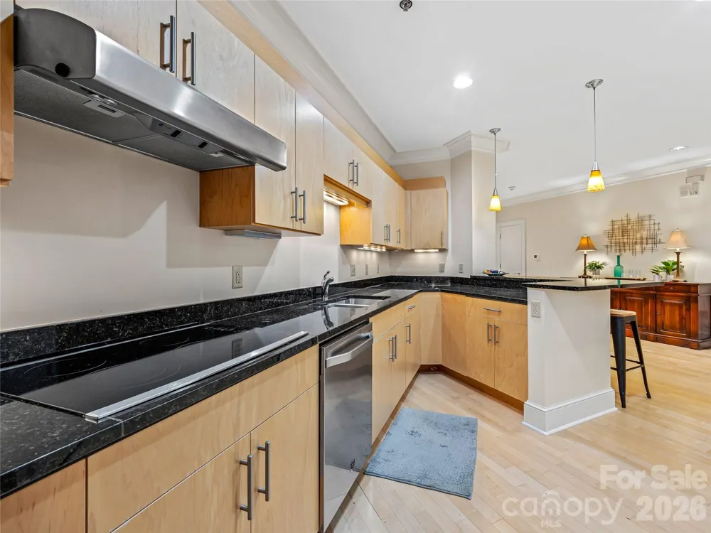 21 Battery Park Avenue #308 Asheville, NC 28801