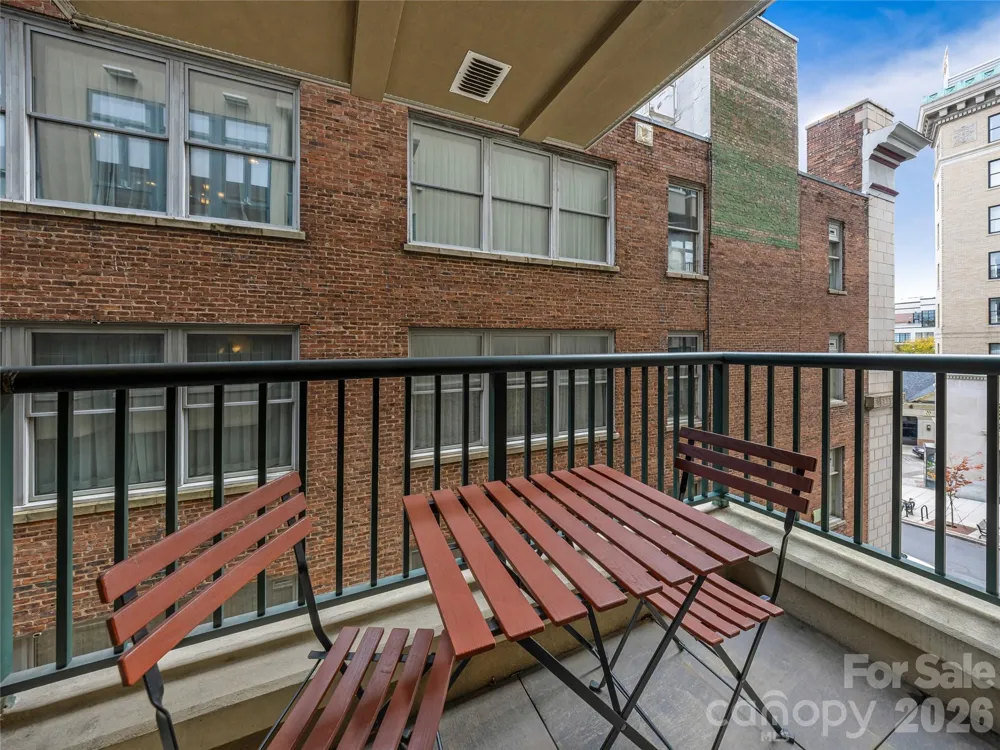 21 Battery Park Avenue #308 Asheville, NC 28801