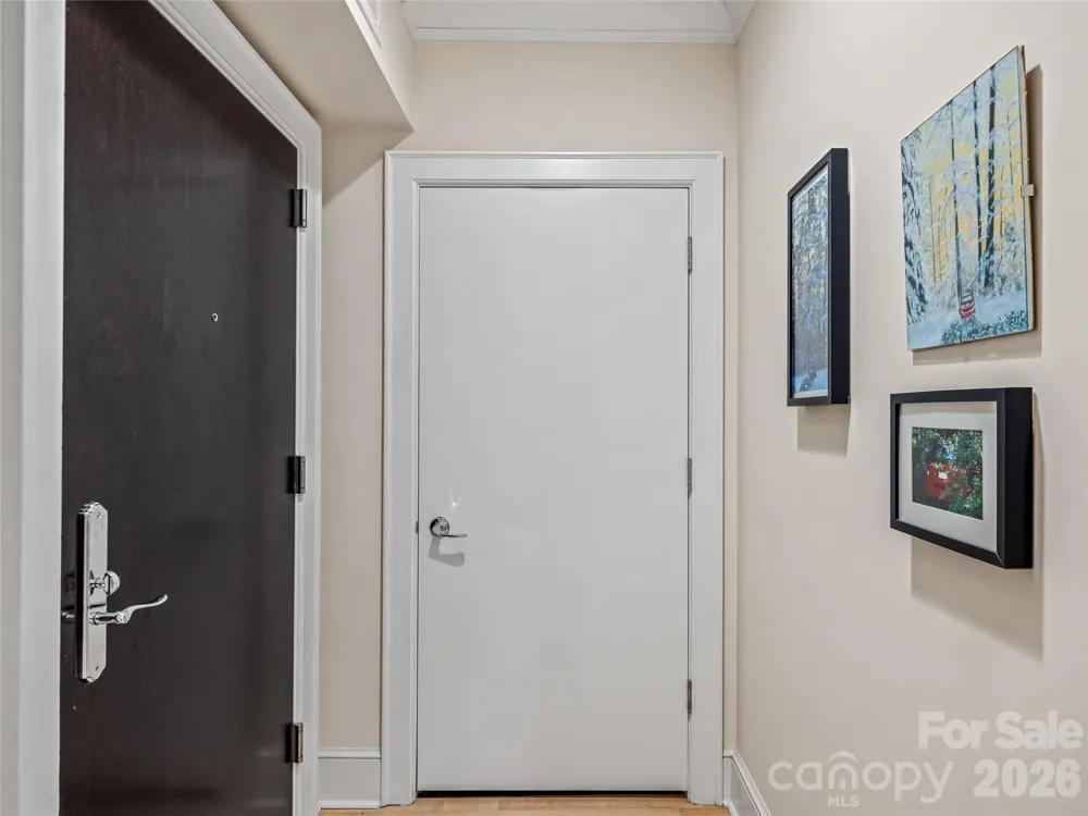 21 Battery Park Avenue #308 Asheville, NC 28801
