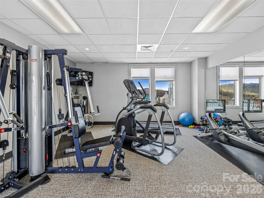 21 Battery Park Avenue #308 Asheville, NC 28801