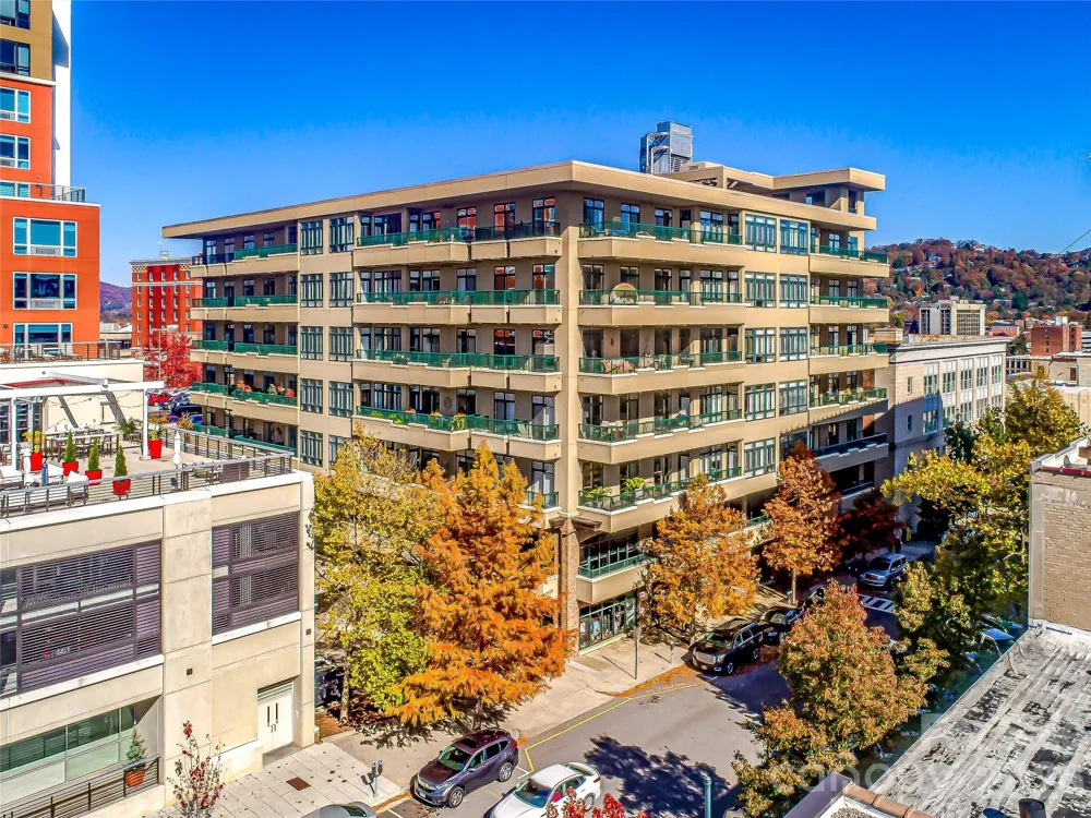 21 Battery Park Avenue #308 Asheville, NC 28801