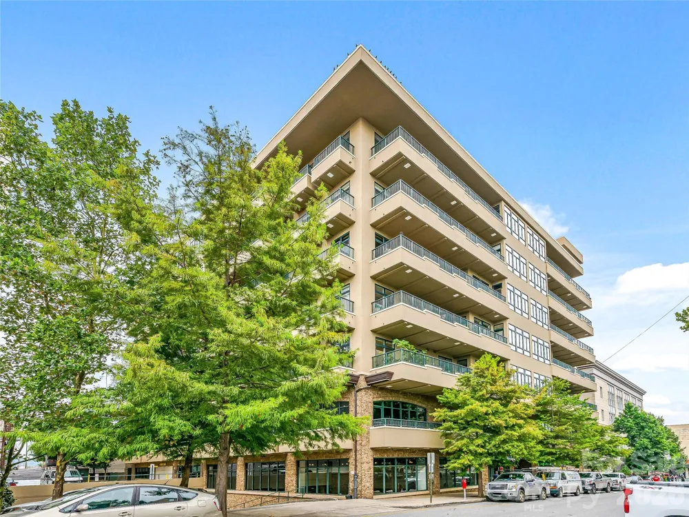 21 Battery Park Avenue #308 Asheville, NC 28801