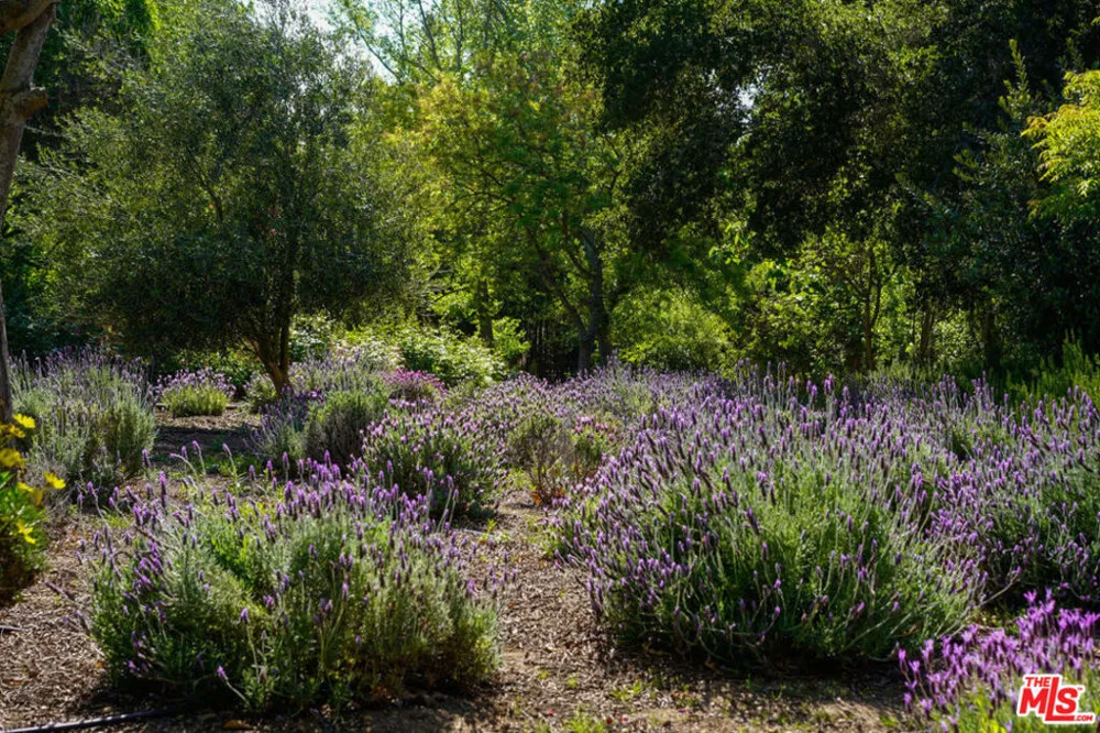 1516 Monarch Drive Santa Ynez, CA 93460