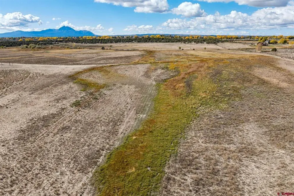 Road 29 Cortez, CO 81321