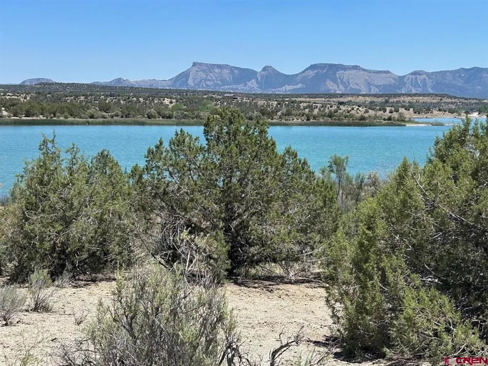 Road 29 Cortez, CO 81321