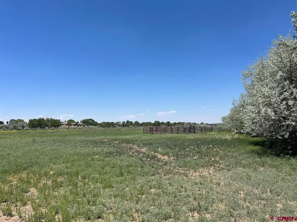 Road 29 Cortez, CO 81321