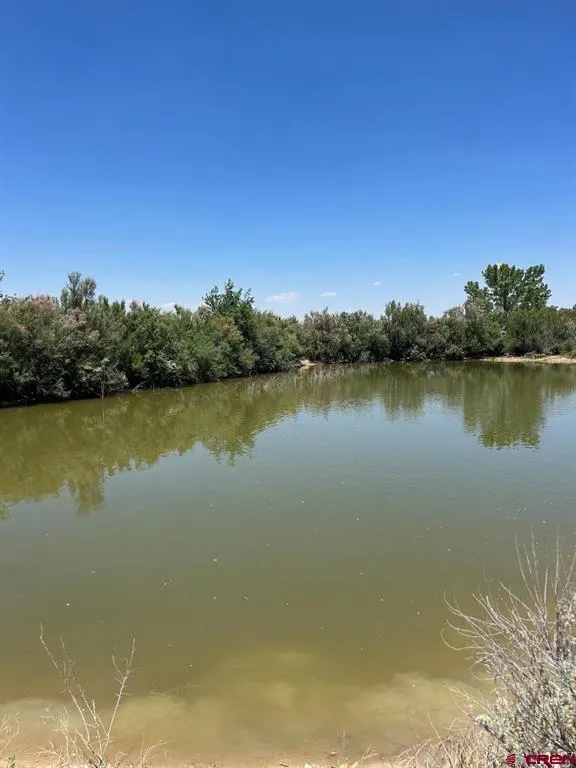 Road 29 Cortez, CO 81321