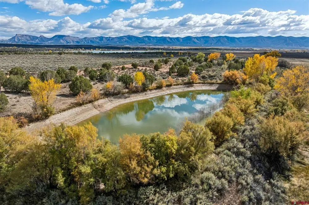 Road 29 Cortez, CO 81321