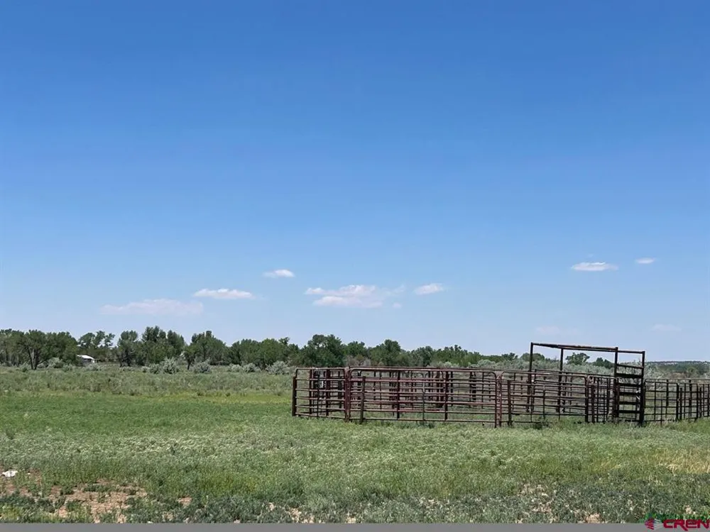 Road 29 Cortez, CO 81321