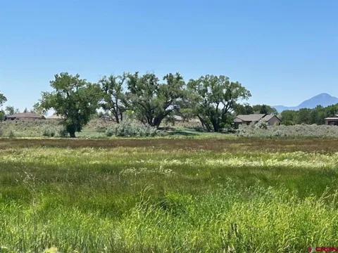 Road 29