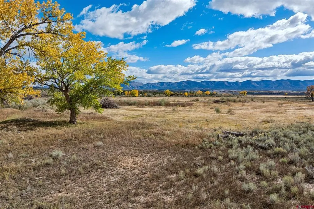 Road 29 Cortez, CO 81321