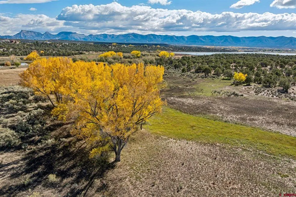 Road 29 Cortez, CO 81321