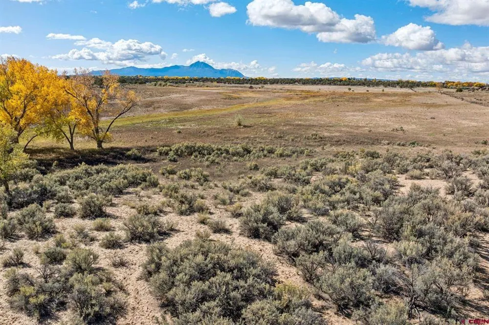 Road 29 Cortez, CO 81321