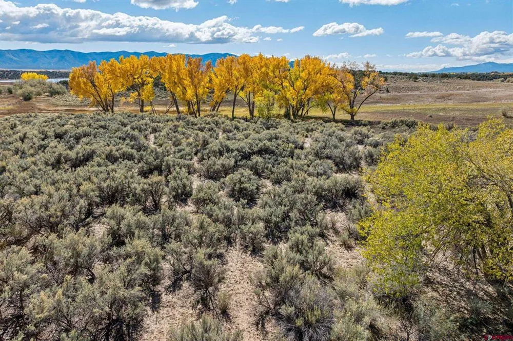 Road 29 Cortez, CO 81321