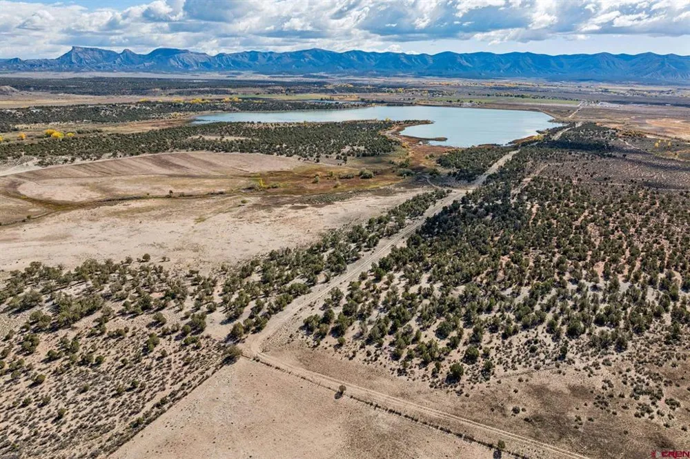 Road 29 Cortez, CO 81321
