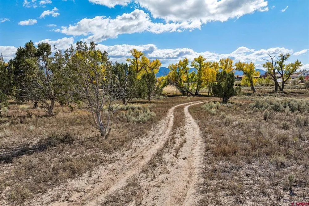 Road 29 Cortez, CO 81321